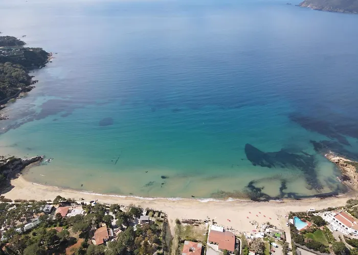 Lido I Palmizi