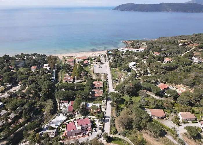 Lido I Palmizi