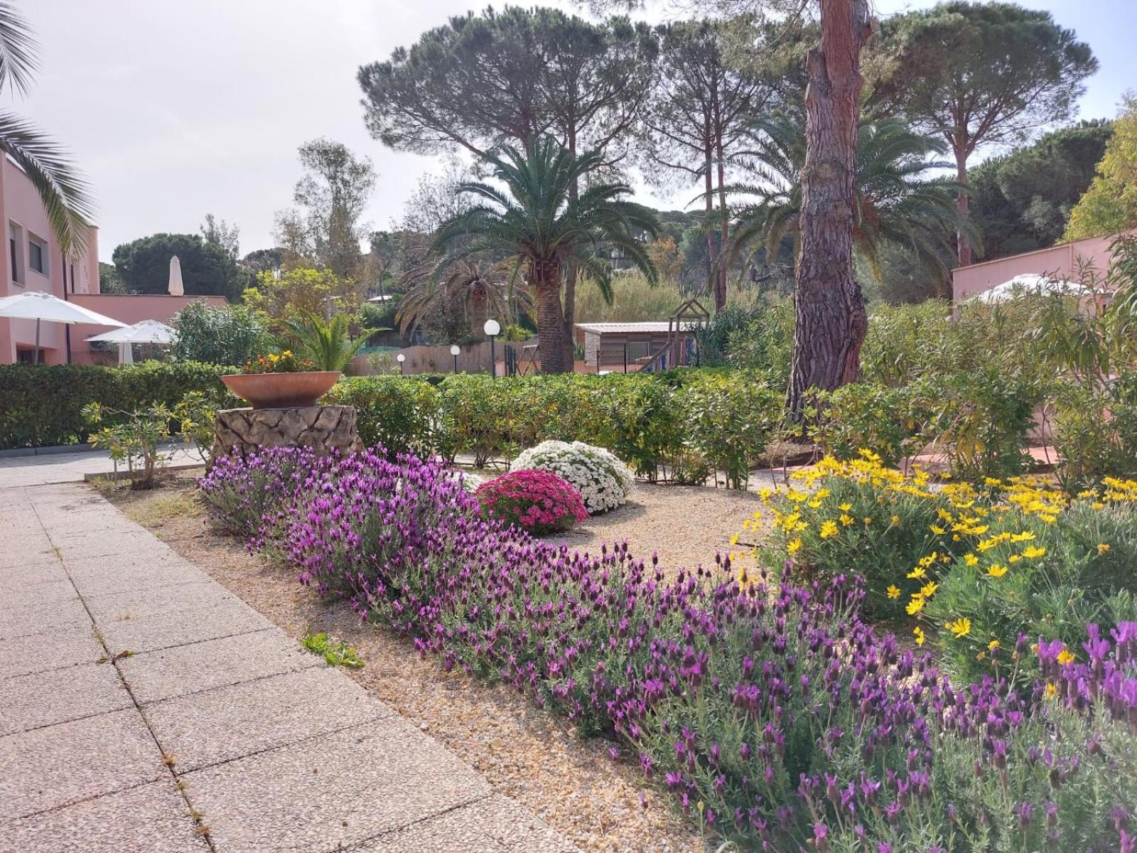 Apartamento Lido I Palmizi *
